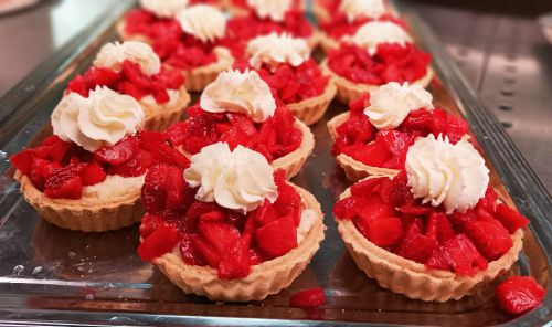 Flora 2023 Garten- und Pflanzenmesse Rendsburg Himbeerhof Steinwehr Erdbeeren