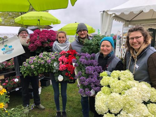 Flora 2023 Garten- und Pflanzenmesse Rendsburg im Norden gewachsen